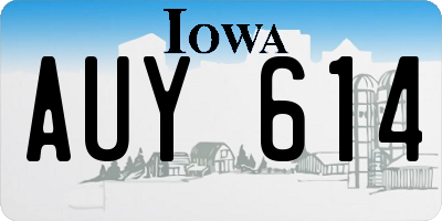 IA license plate AUY614