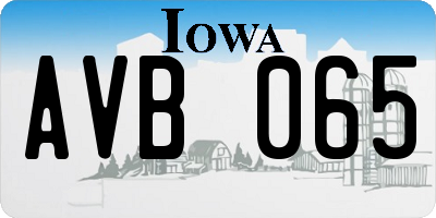 IA license plate AVB065