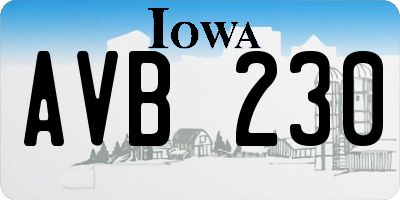 IA license plate AVB230