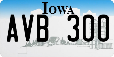IA license plate AVB300