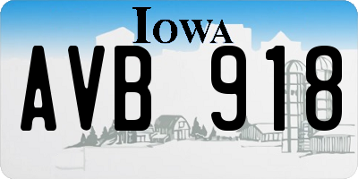 IA license plate AVB918