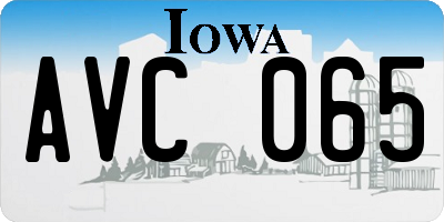 IA license plate AVC065