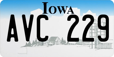 IA license plate AVC229