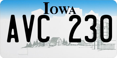 IA license plate AVC230