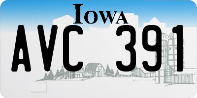 IA license plate AVC391