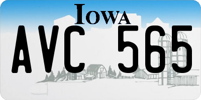 IA license plate AVC565