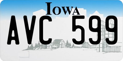 IA license plate AVC599