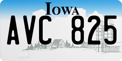 IA license plate AVC825