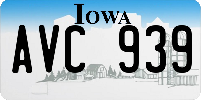 IA license plate AVC939