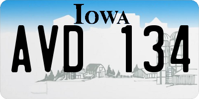 IA license plate AVD134