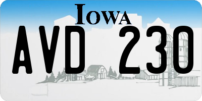 IA license plate AVD230