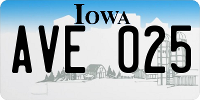 IA license plate AVE025