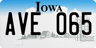 IA license plate AVE065