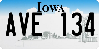 IA license plate AVE134