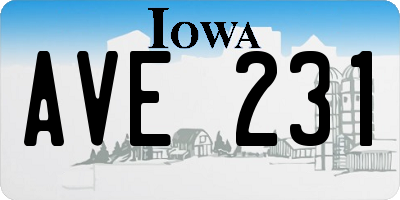 IA license plate AVE231