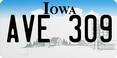 IA license plate AVE309