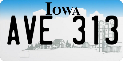 IA license plate AVE313