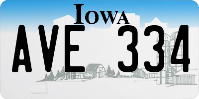 IA license plate AVE334
