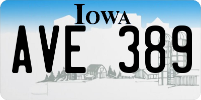 IA license plate AVE389