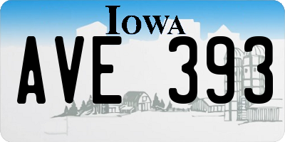 IA license plate AVE393