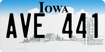 IA license plate AVE441