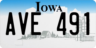 IA license plate AVE491