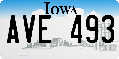 IA license plate AVE493