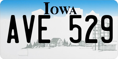 IA license plate AVE529