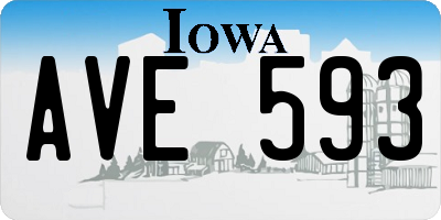 IA license plate AVE593