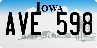 IA license plate AVE598