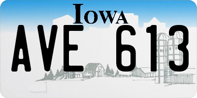 IA license plate AVE613