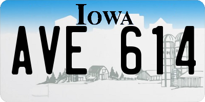IA license plate AVE614