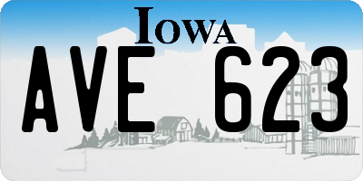 IA license plate AVE623