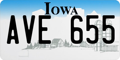 IA license plate AVE655
