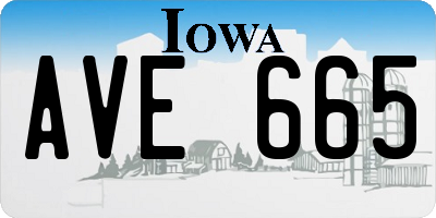 IA license plate AVE665