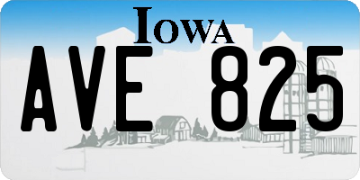IA license plate AVE825