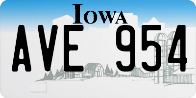 IA license plate AVE954