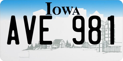 IA license plate AVE981