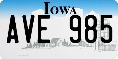 IA license plate AVE985