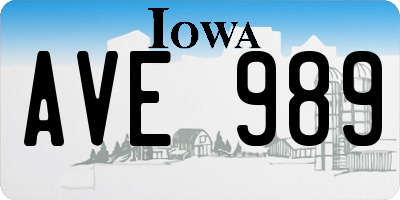 IA license plate AVE989