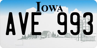 IA license plate AVE993