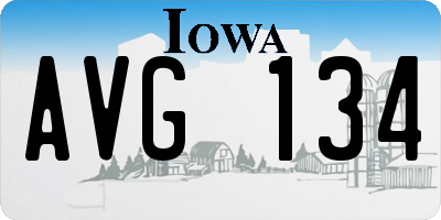 IA license plate AVG134