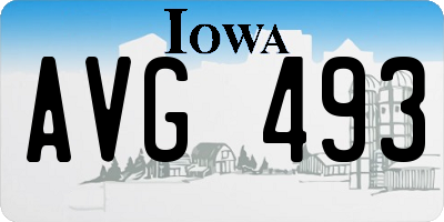 IA license plate AVG493