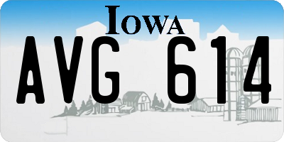 IA license plate AVG614