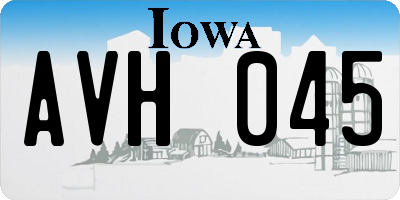 IA license plate AVH045