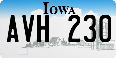 IA license plate AVH230