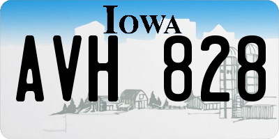 IA license plate AVH828