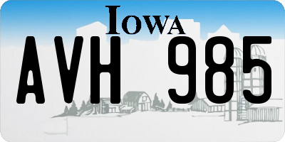 IA license plate AVH985