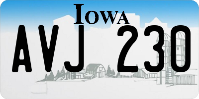 IA license plate AVJ230