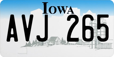 IA license plate AVJ265